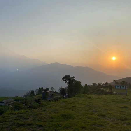 Tranquil Water Guest House Pokhara Exteriör bild