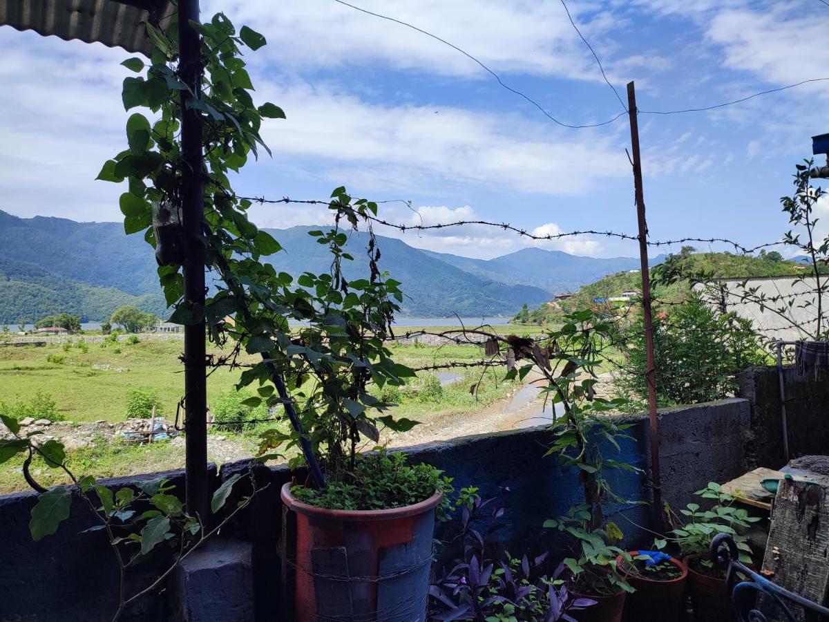 Tranquil Water Guest House Pokhara Exteriör bild