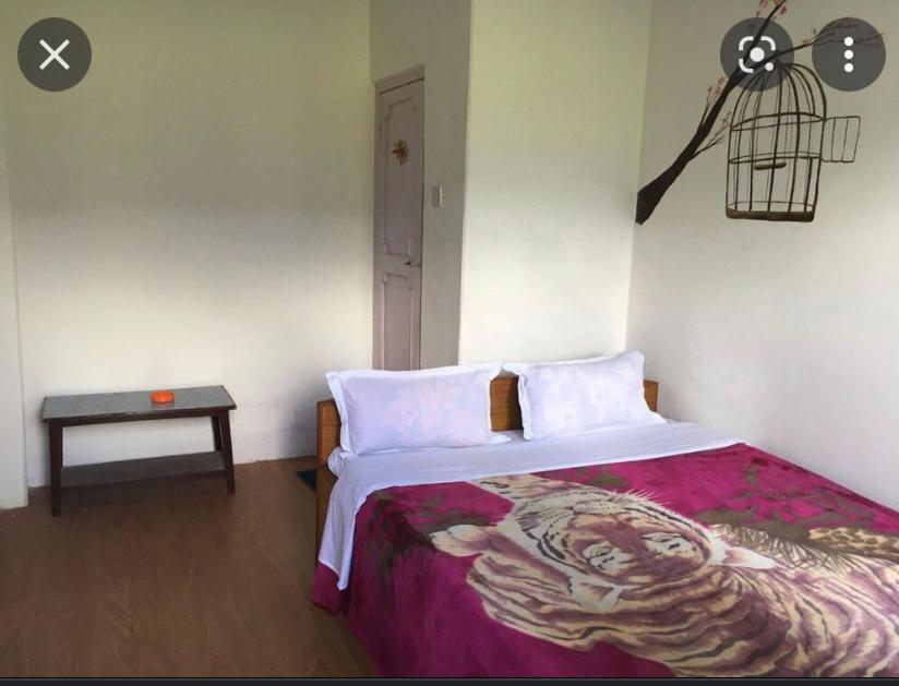 Tranquil Water Guest House Pokhara Exteriör bild