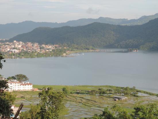 Tranquil Water Guest House Pokhara Exteriör bild